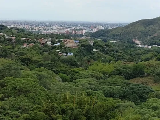 Vendo Lote Vereda Los Andes Bajo - Cali (villa Del Carmelo)