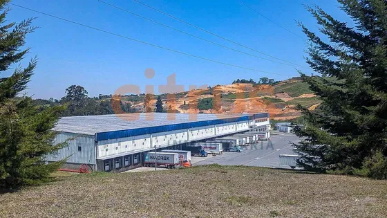 Bodegas En Arriendo Rionegro 643-7802413