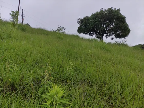 Lote De 3000m2 Con Documentos Al Día Santa Bárbara 