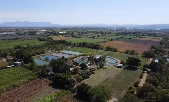 Venta De Terreno En Tepalcingo