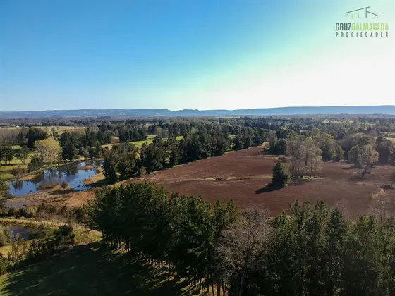 Agrícola En Venta En Fresia