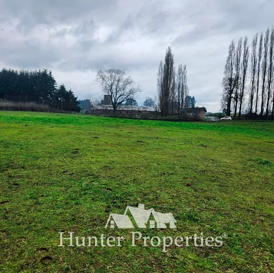 Agrícola En Venta En Osorno