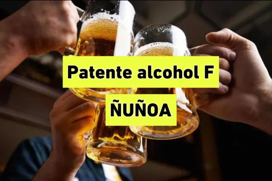 Patente Alcohol Ñuñoa Clase F