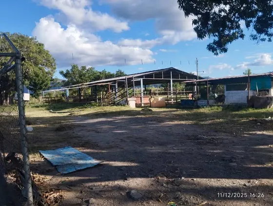 Venta De Finca De 15.000 Hectáreas De Terreno Plano, En Güigüe Carlos Arvelo