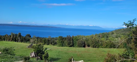 Se Vende Parcela De 5.000 M2 En Isla Puluqui, Calbuco