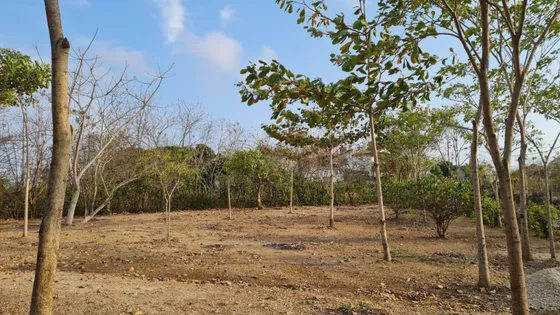 Lote En Venta En San Antero. Cod V12084