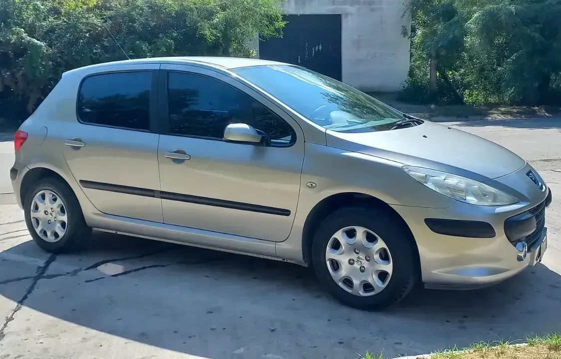 Peugeot 307 1.6 XS 110 hp