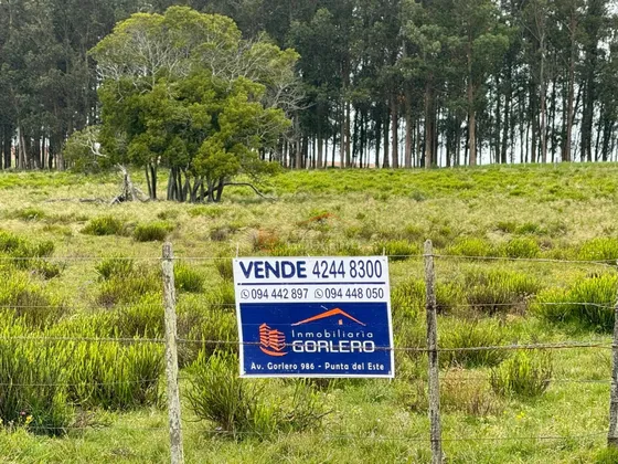 Chacra En Rocha