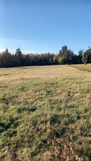Terreno Sur 1 Hectárea