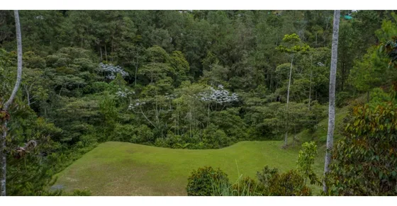 Venta De Lote En El Retiro Sector Juanito Laguna