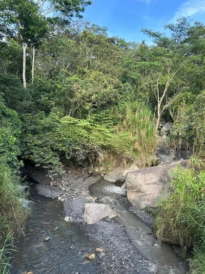 Vendo Finca Viota