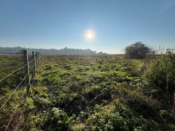 Venta , Parcela De Agrado Camino Santa Clara