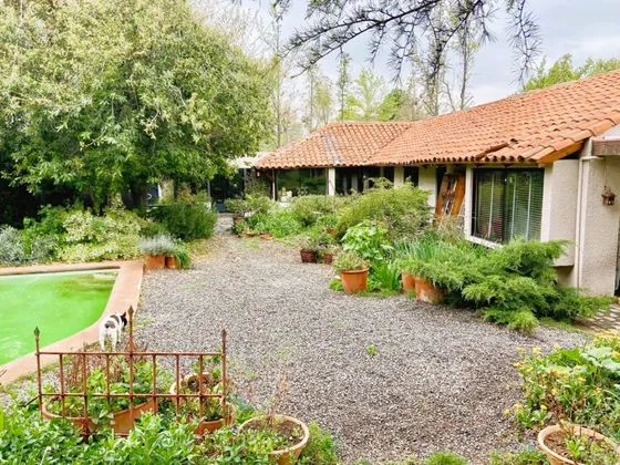 Amplia, Comoda, 1 Piso, Nororiente, Remodelada