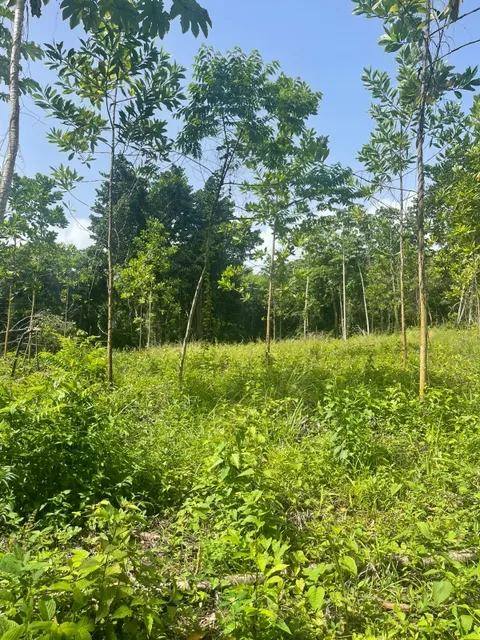 Terreno En La Isabela 20048 M2. Rd$ 350,000 Dólares 