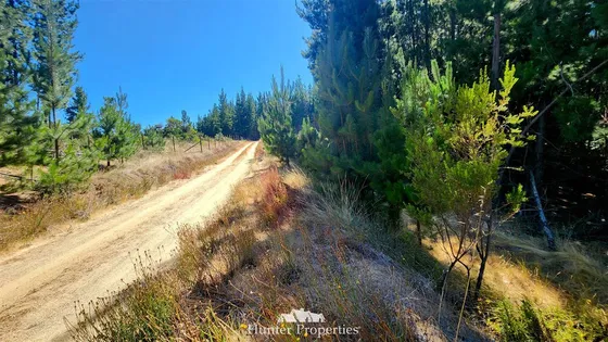 Parcela En Venta En Pichilemu 6.000mtrs2.