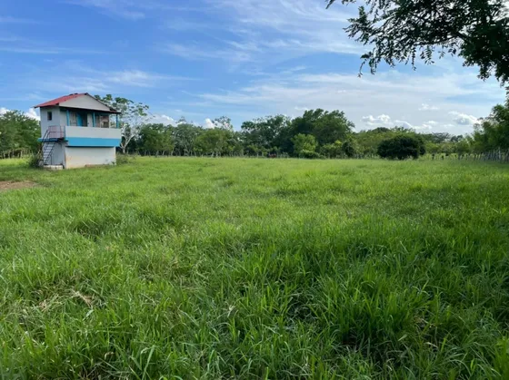 Finca Ganadera Y Agricola En Bayaguana  855t Areas Con Piscina Y Casa 1km Y Medio De La Via Principal
