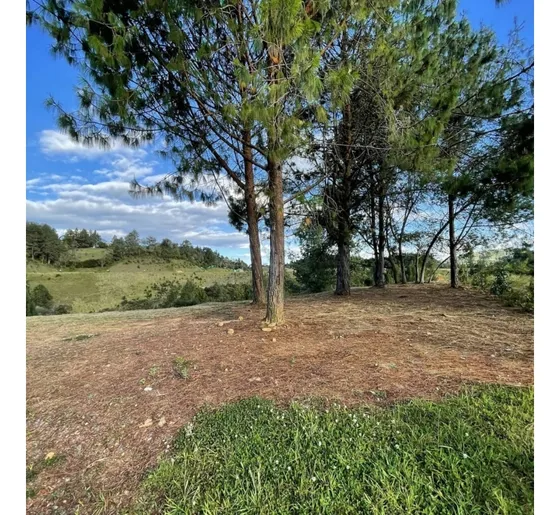 Vendo Lote Escobero Parte Alta- Envigado