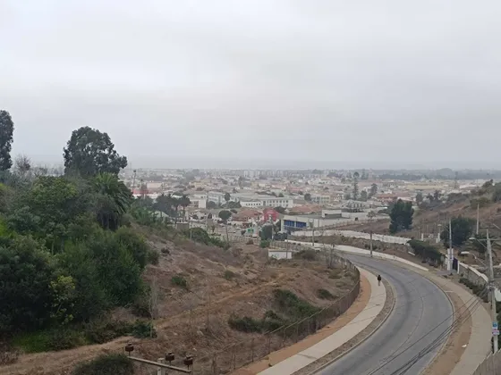 Arriendo Dpto Un Ambiente - La Serena (176164)