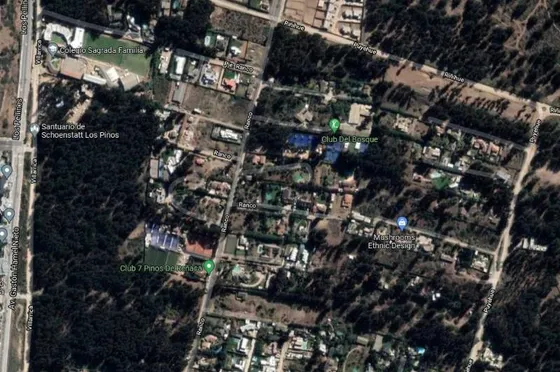 Terreno Los Pinos 5.000 M2