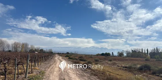 Finca En Venta En Lujan De Cuyo, Ugarteche