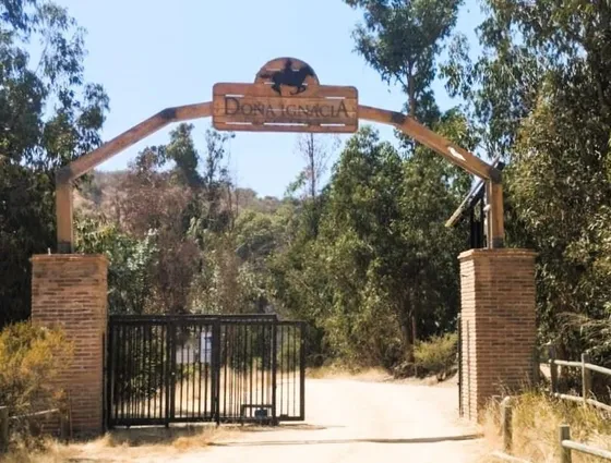 Sitios En Venta En Limache Desde 45.000.0000