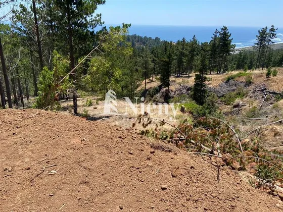 Sitio En Venta En Vichuquén