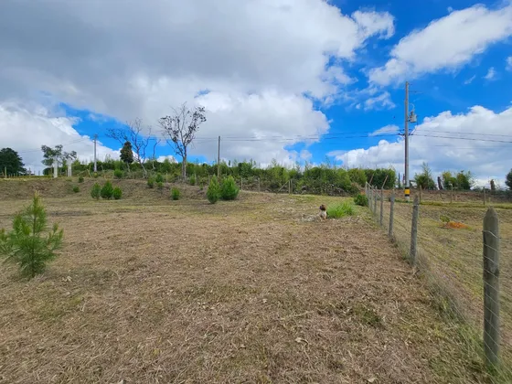 Venta De Lote Campestre Independiente - Vereda Piedras Blancas Guarne
