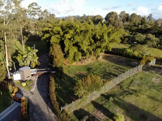 Terreno En Venta En Rionegro - Llanogrande Cod 67561