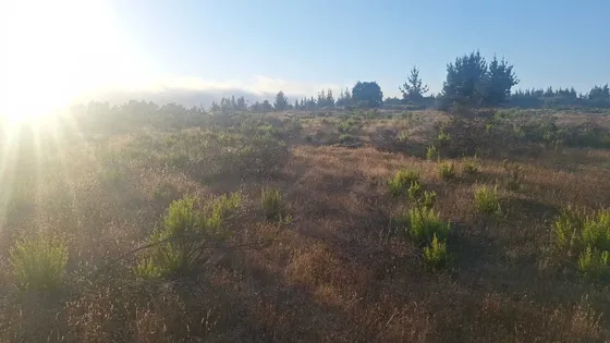 Oportunidad De Inversión En Excelente Terreno (153376)