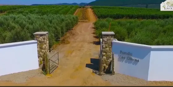 Espectacular Parcela En Condominio Cerrado Con Áreas Comunes