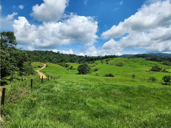 Vendo Finca  Para Ganado. Remedios Antioquia 700 Hectáreas. Jcr