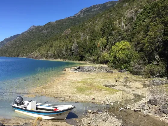 Sitio En Venta En Lago Inferior / Valle Del Puelo