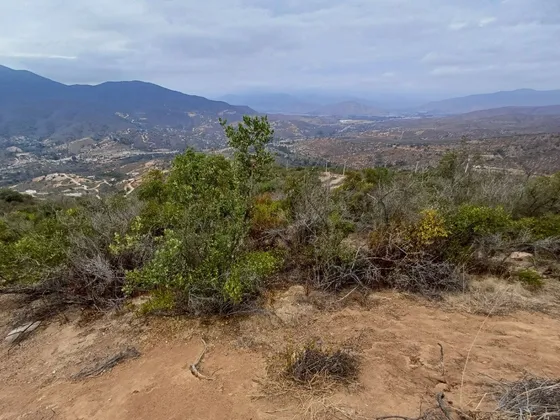 Curacaví, Venta Parcela Hermosa Vista Hacienda San Jose Fo