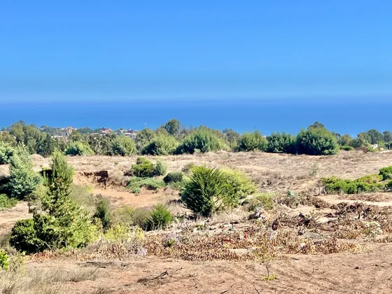 Oportunidad En Marbella: Nuevo Proyecto De Terrenos
