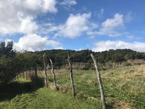 X Región, Ayacará 25 Ha/ Chaitén Parques Nacionales