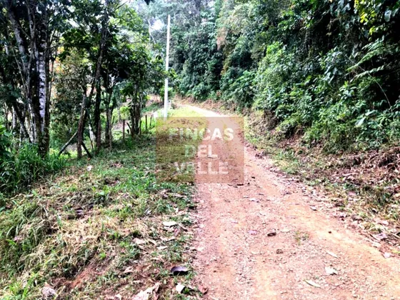 Calima, 7.670 M2, Lote En Venta