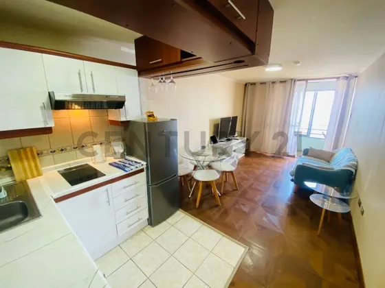 Arriendo Departamento Amoblado Primera Línea