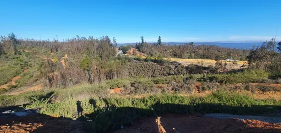 Arriendo Terreno Plano De 8000m2 En Camino La Pólvora.