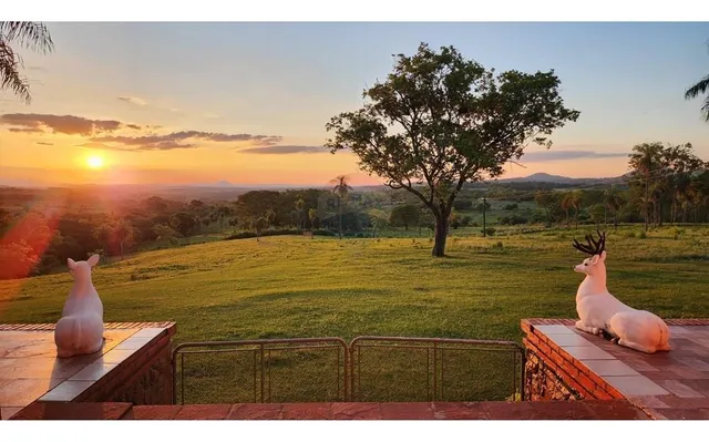 Estancia Ganadera Y Agropecuaria En Paraguarí Inversión Segura Y Rentable