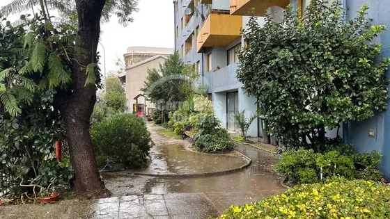 Dpto En Venta 2 Dormitorios, 1 Baño, 1 Bod En Barrio Yungay