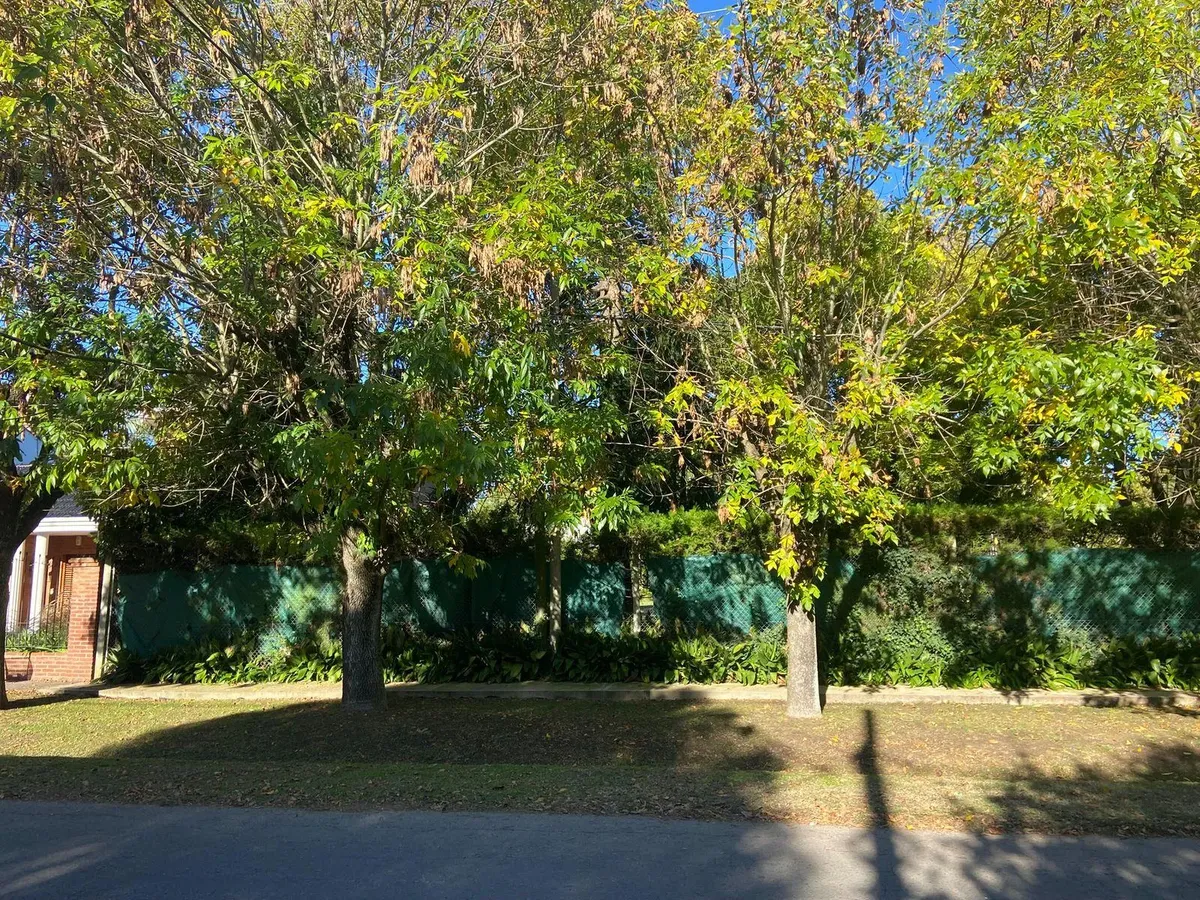 Lot Between Roads, Park-Like, Excellent Boundaries