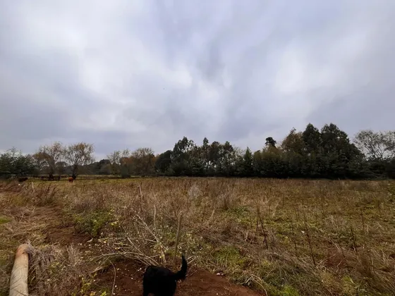 Excelente Parcela De 6000 M2  A Pocos Minutos  De Talca