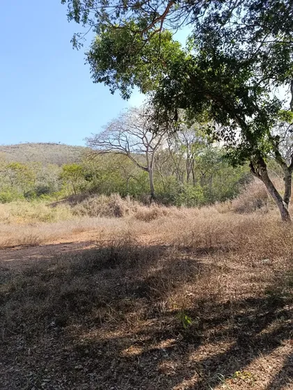(ir60) Terreno Con Excelente Metraje Para Desarrollar Diferentes Proyectos