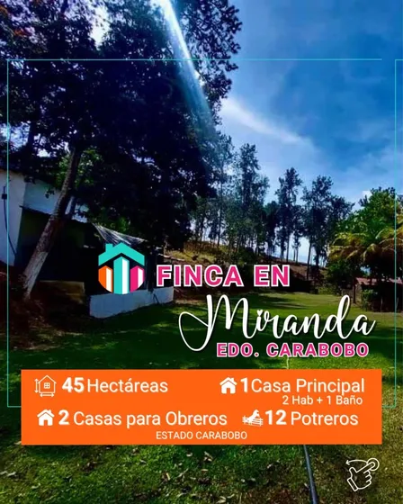 Espectacular Finca En Miranda, Estado Carabobo.