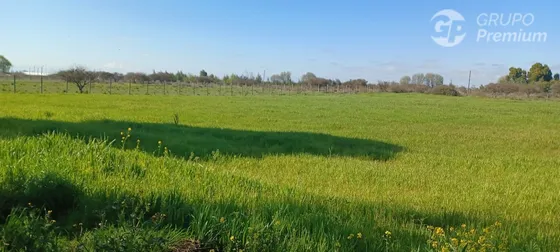 Agrícola En Venta En San Carlos