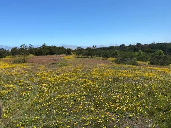 Campo En Arriendo 