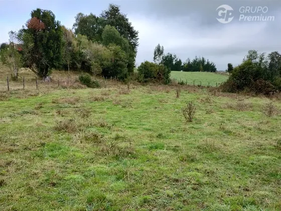 Parcela En Venta En Río Bueno 1a Orillas De Lago Puyehue