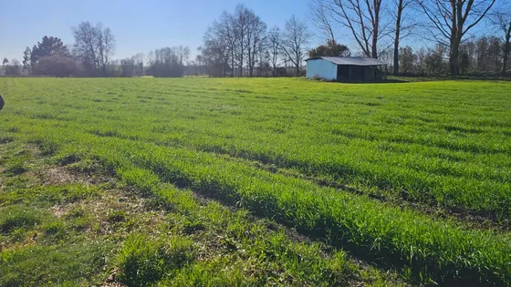 Se Vende Exclusivas Parcela Con Casa En Vilcún (175204)