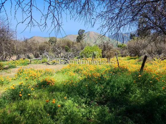 Se Vende Parcela En Condominio, Sector Los Naranjos