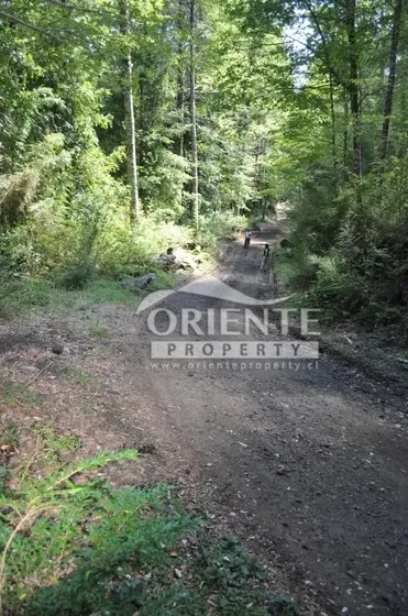 Oportunidad! Sitio En Reserva Huilo Huilo